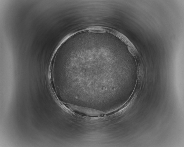 X0000116590908200912171551