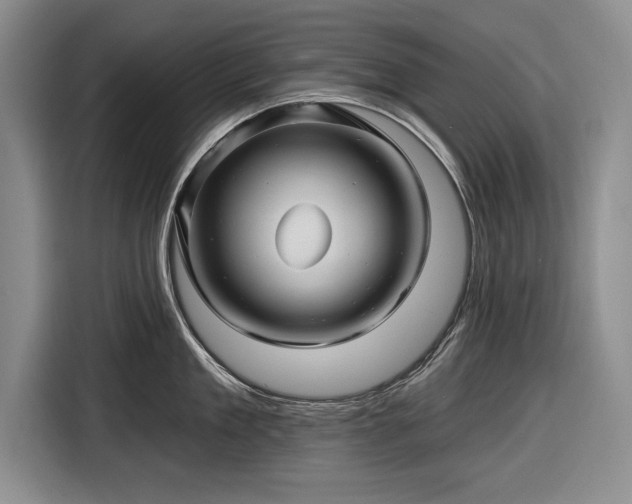 X0000116590909200912171551