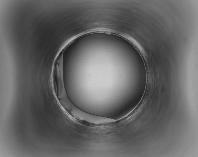 X0000116590910200912171551