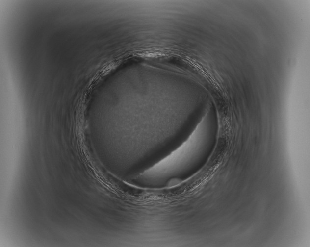 X0000116590913200912171550