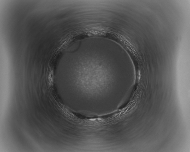 X0000116590915200912171550