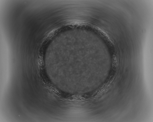 X0000116590918200912171550