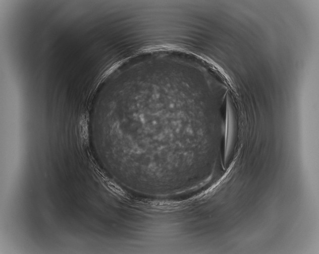 X0000116590921200912171550