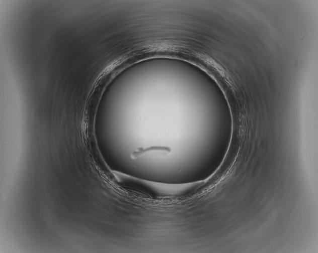 X0000116590922200912171550