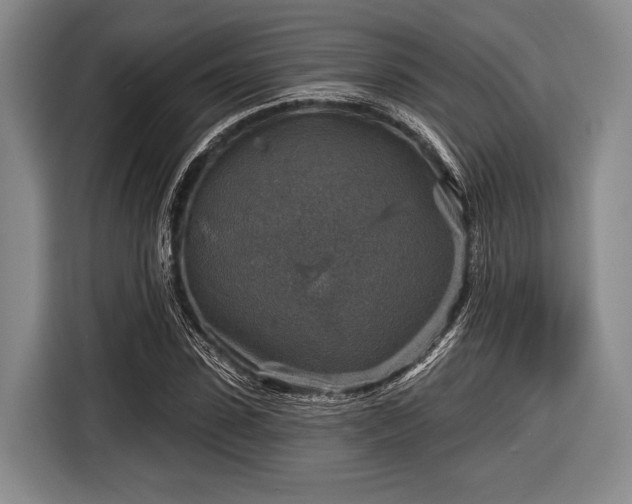 X0000116590923200912171550