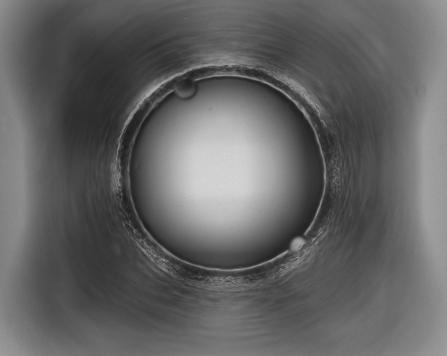 X0000116590927200912171550