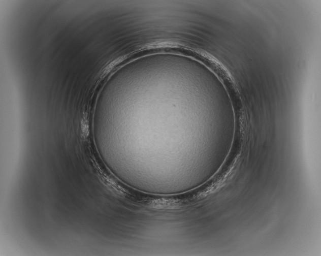 X0000116590929200912171550