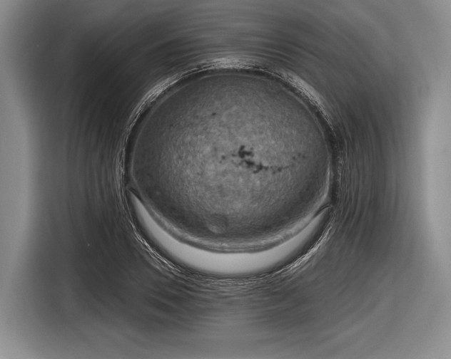 X0000116590930200912171550