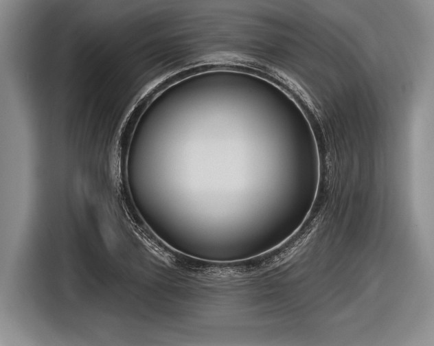 X0000116590931200912171550