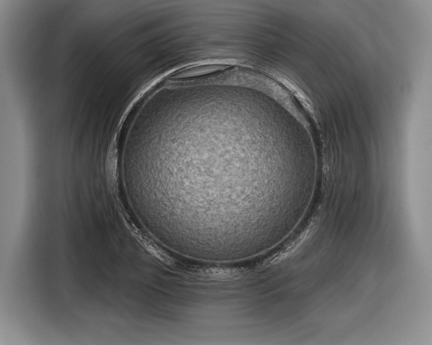 X0000116590933200912171550