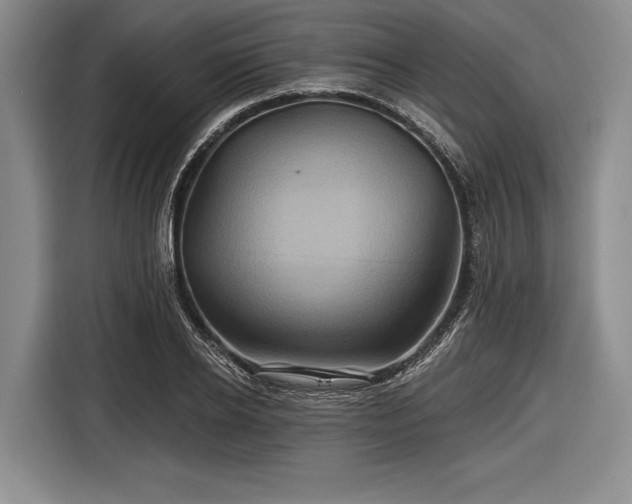 X0000116590934200912171550