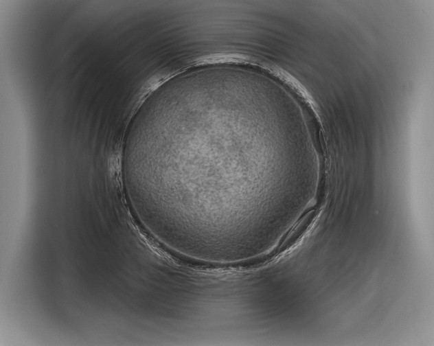 X0000116590937200912171550