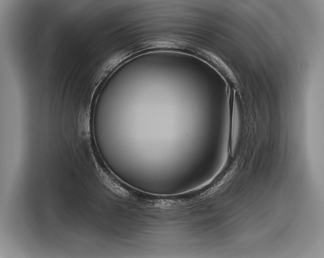 X0000116590938200912171550