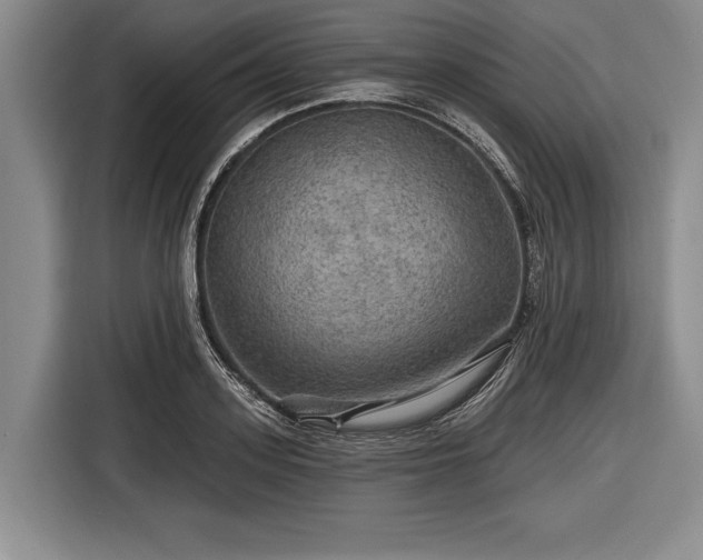 X0000116590939200912171550