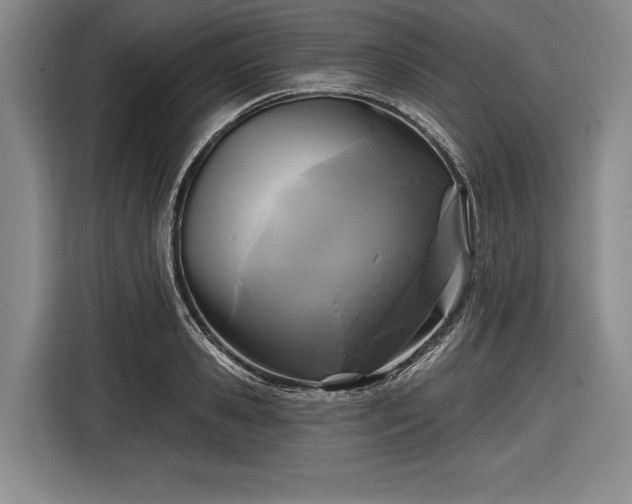 X0000116590941200912171550