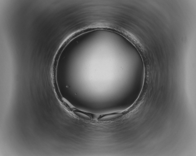 X0000116590942200912171550