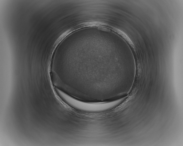 X0000116590946200912171550