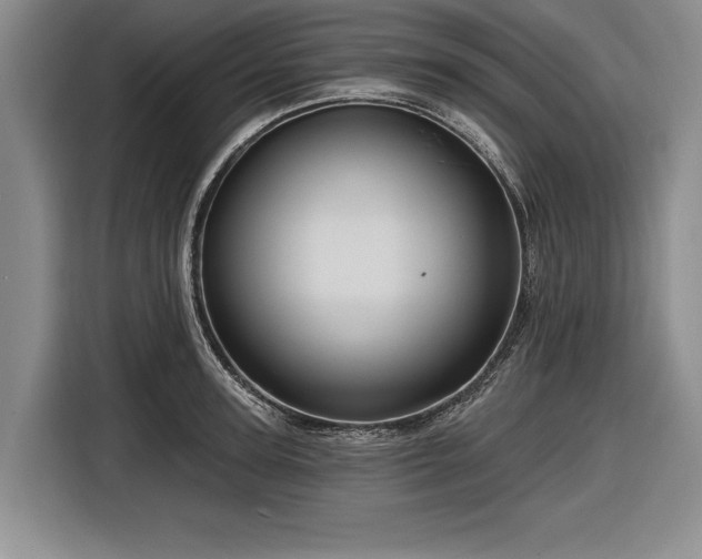 X0000116590947200912171550