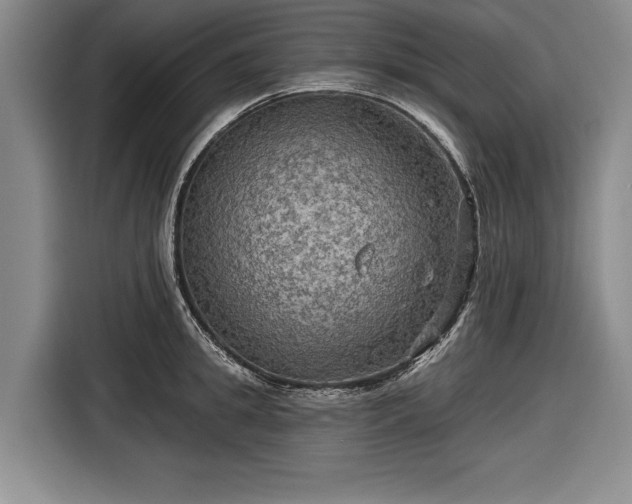 X0000116590949200912171550