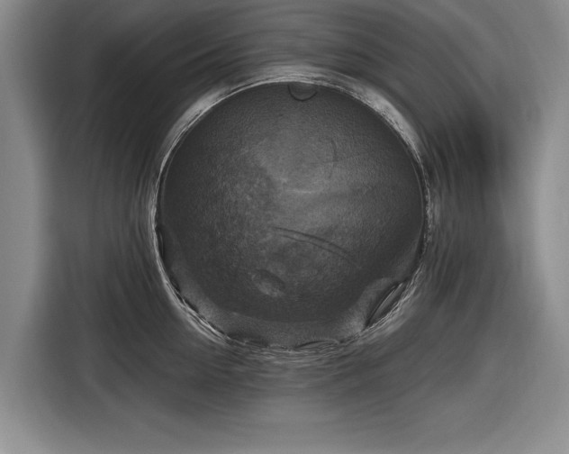 X0000116590954200912171551