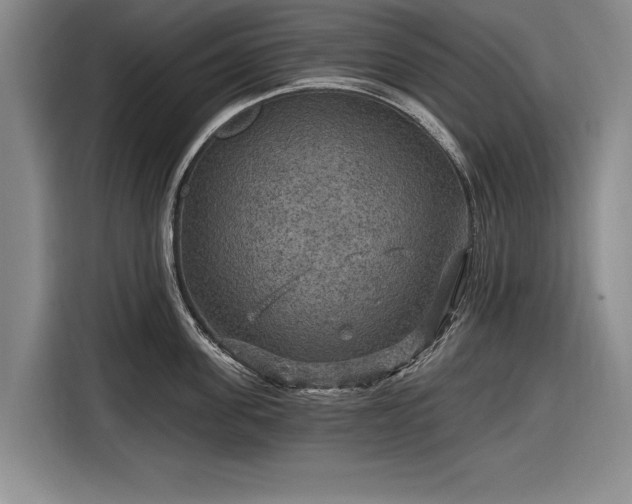 X0000116590955200912171551