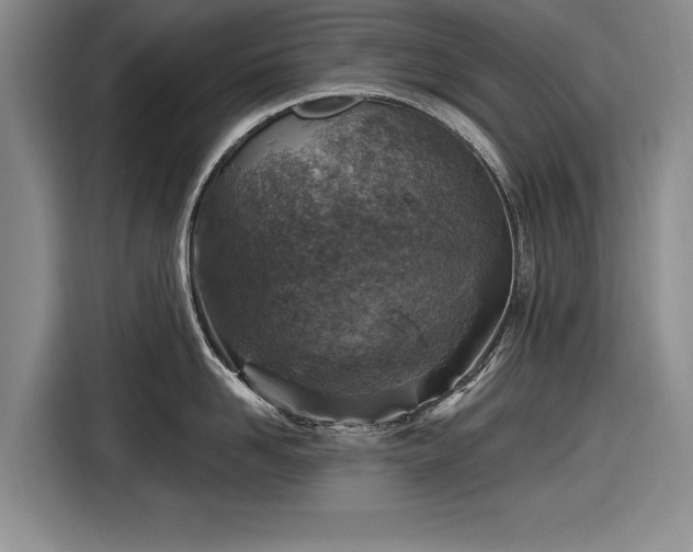 X0000116590958200912171551