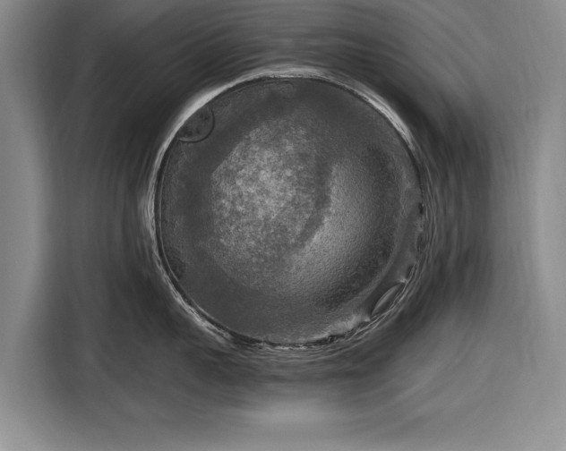 X0000116590959200912171551