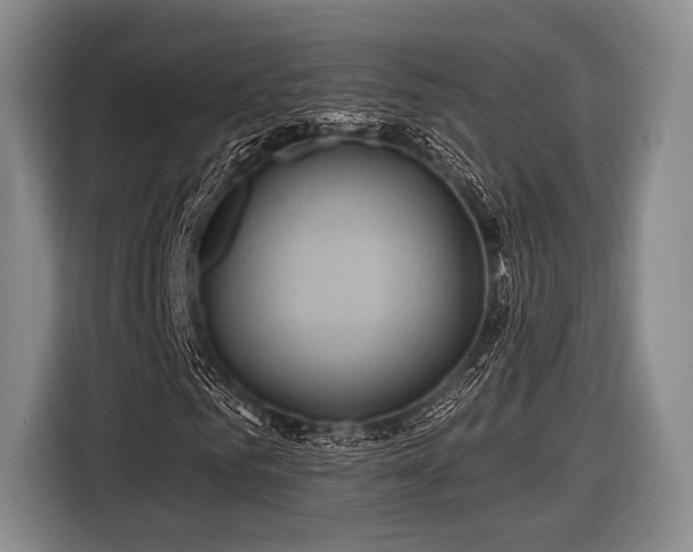 X0000116590961200912171550