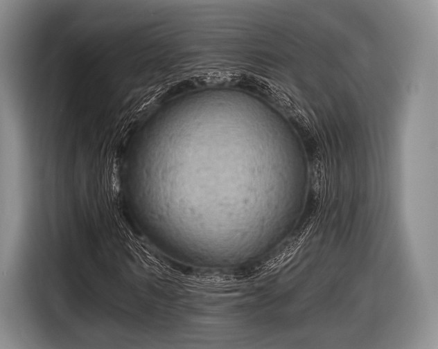 X0000116590962200912171550