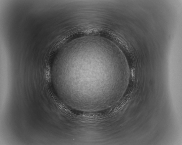 X0000116590963200912171550