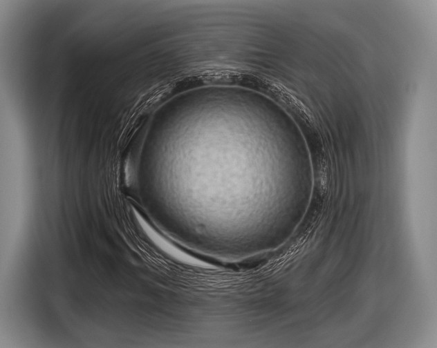 X0000116590964200912171550