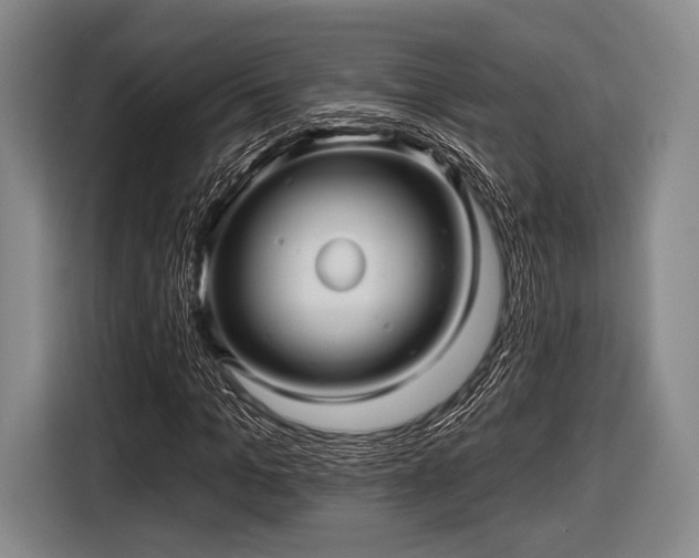 X0000116590965200912171550