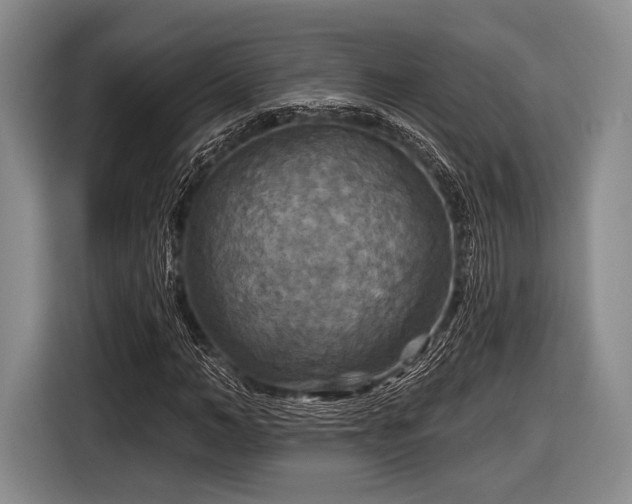 X0000116590966200912171550