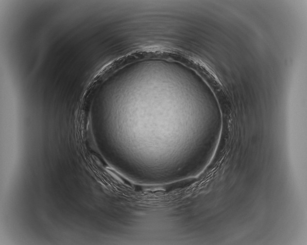 X0000116590968200912171550