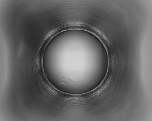 X0000116590970200912171550