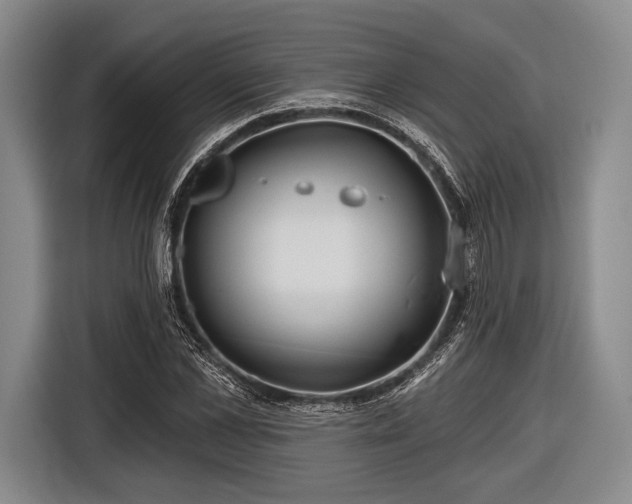 X0000116590973200912171550