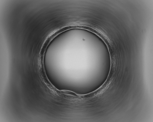 X0000116590974200912171550