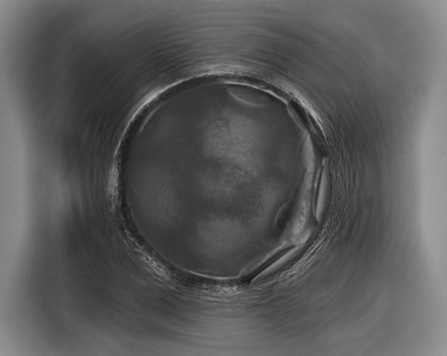 X0000116590975200912171550