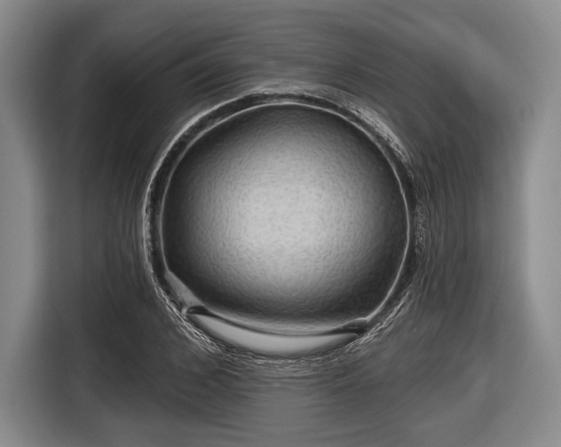 X0000116590976200912171550