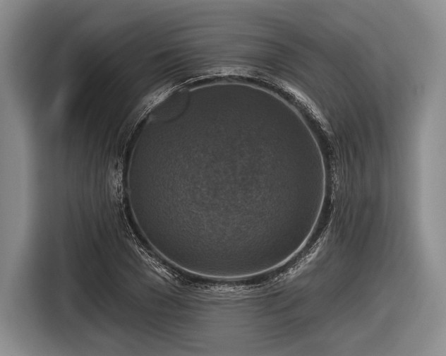 X0000116590977200912171550