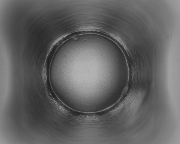 X0000116590979200912171550