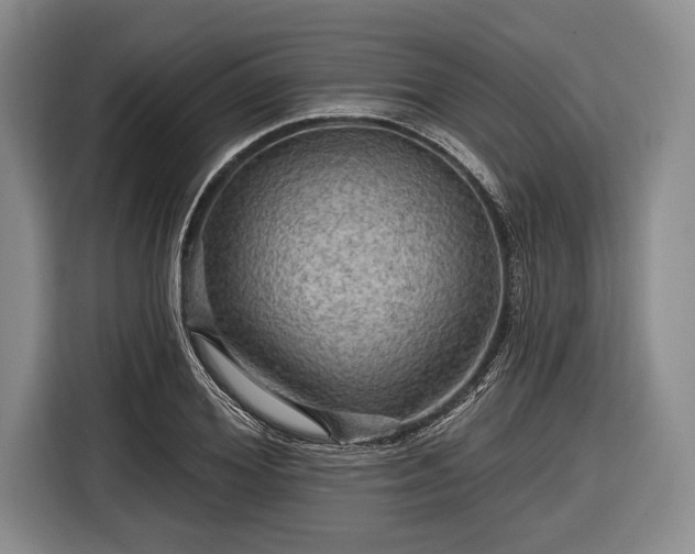 X0000116590980200912171550