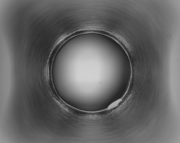 X0000116590982200912171550