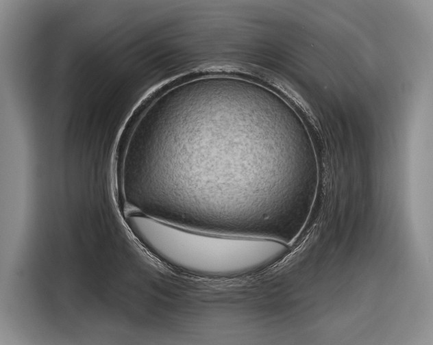 X0000116590984200912171550