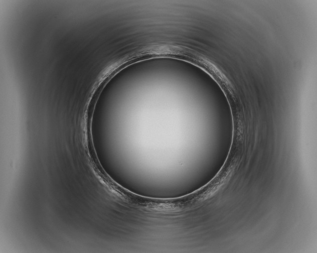 X0000116590986200912171550