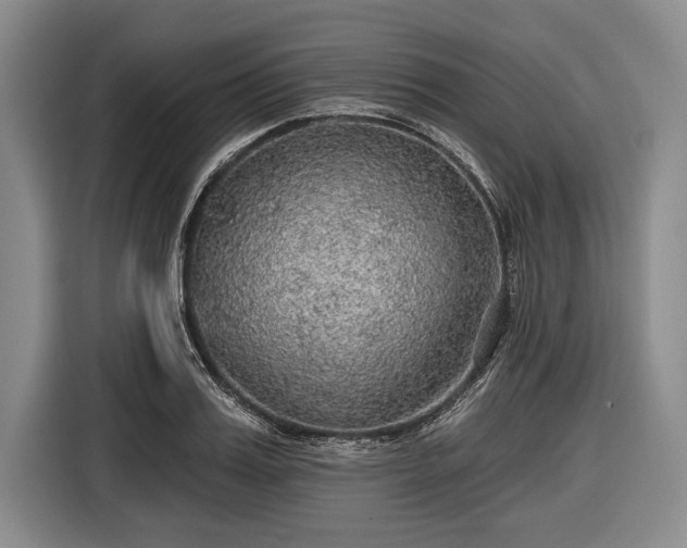 X0000116590987200912171550