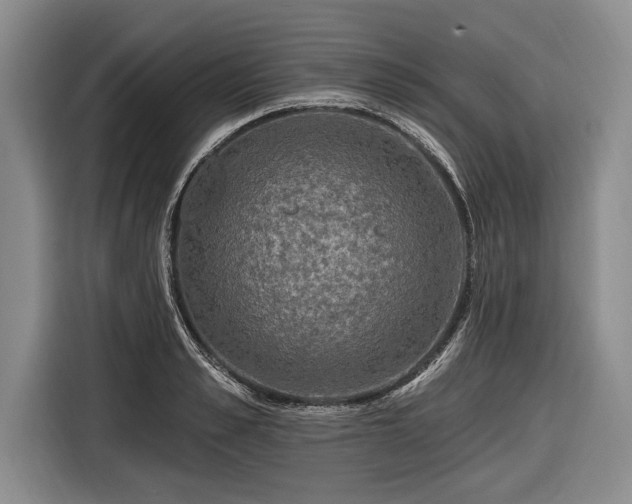 X0000116590989200912171550