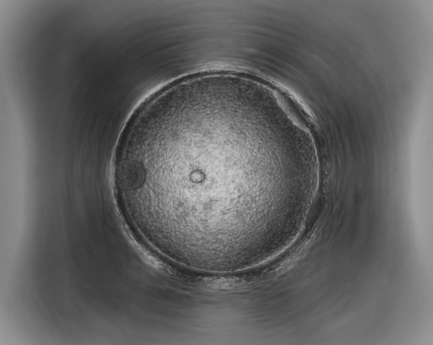 X0000116590991200912171550