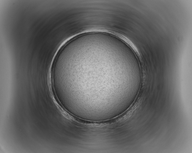 X0000116590996200912171550