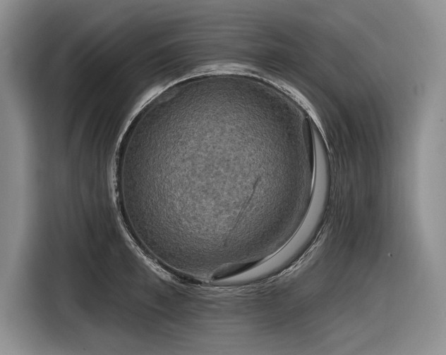 X0000116590997200912171550